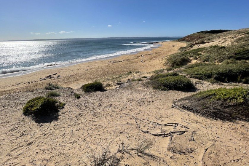 Flynns Beach Phillip Island